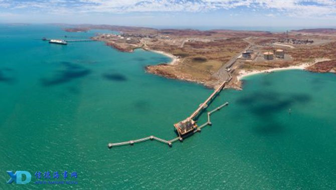 国安球迷最不舍的外援离队，为何俱乐部未能挽留，真相揭晓