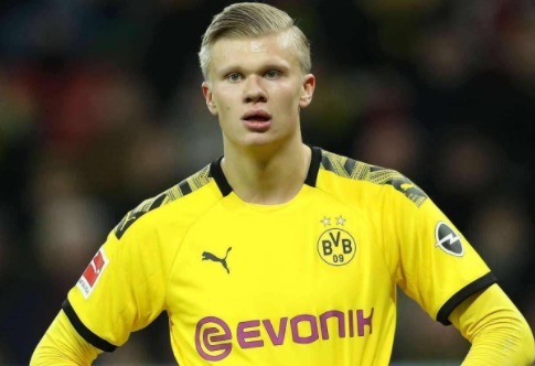 香港金牛连续2天击败CBA球队，将与上海争夺一个出线名额